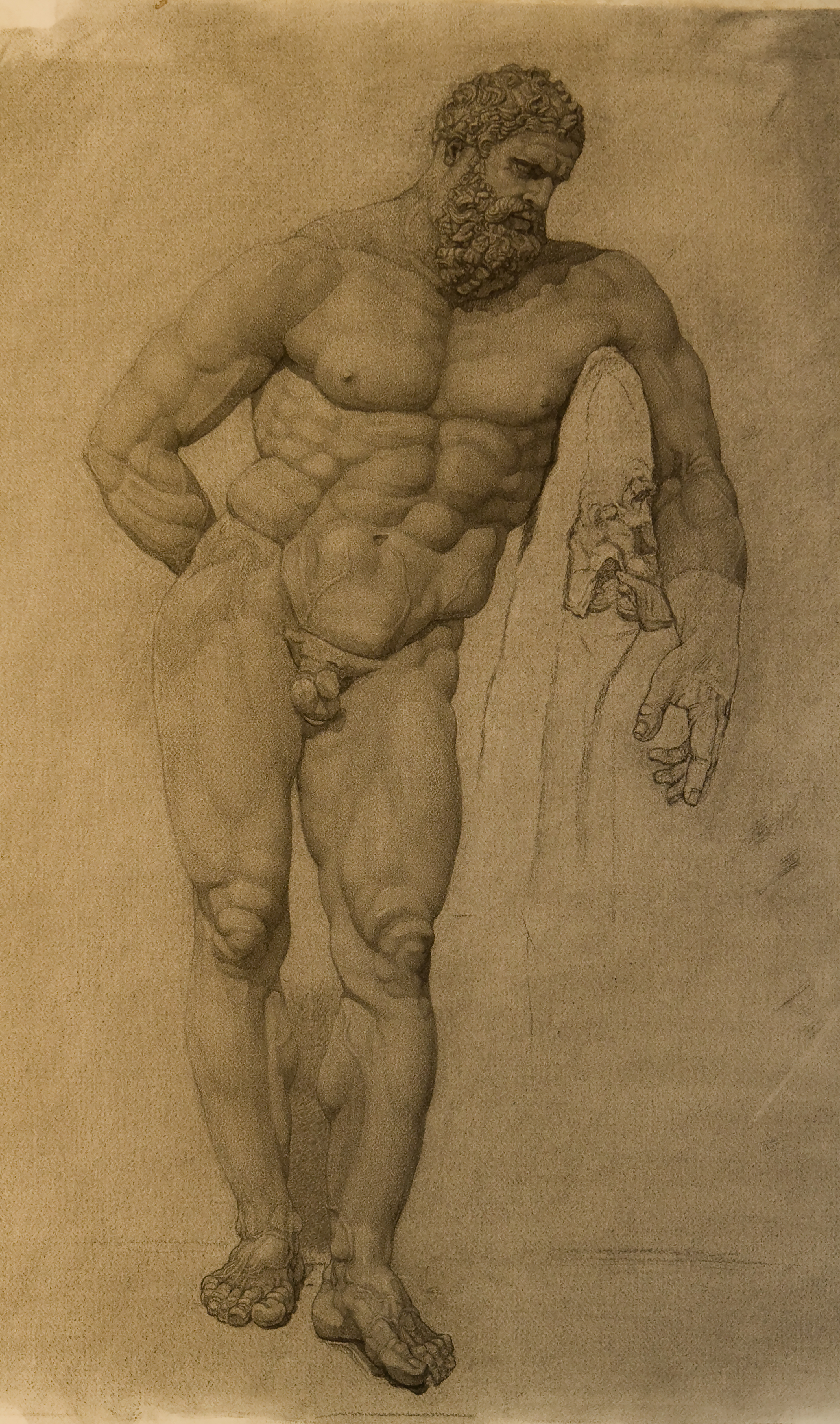 Farnese Hercules, Hellenistic sculpture in the National Archeology Museum, Naples, charcoal, by P. Brad Parker