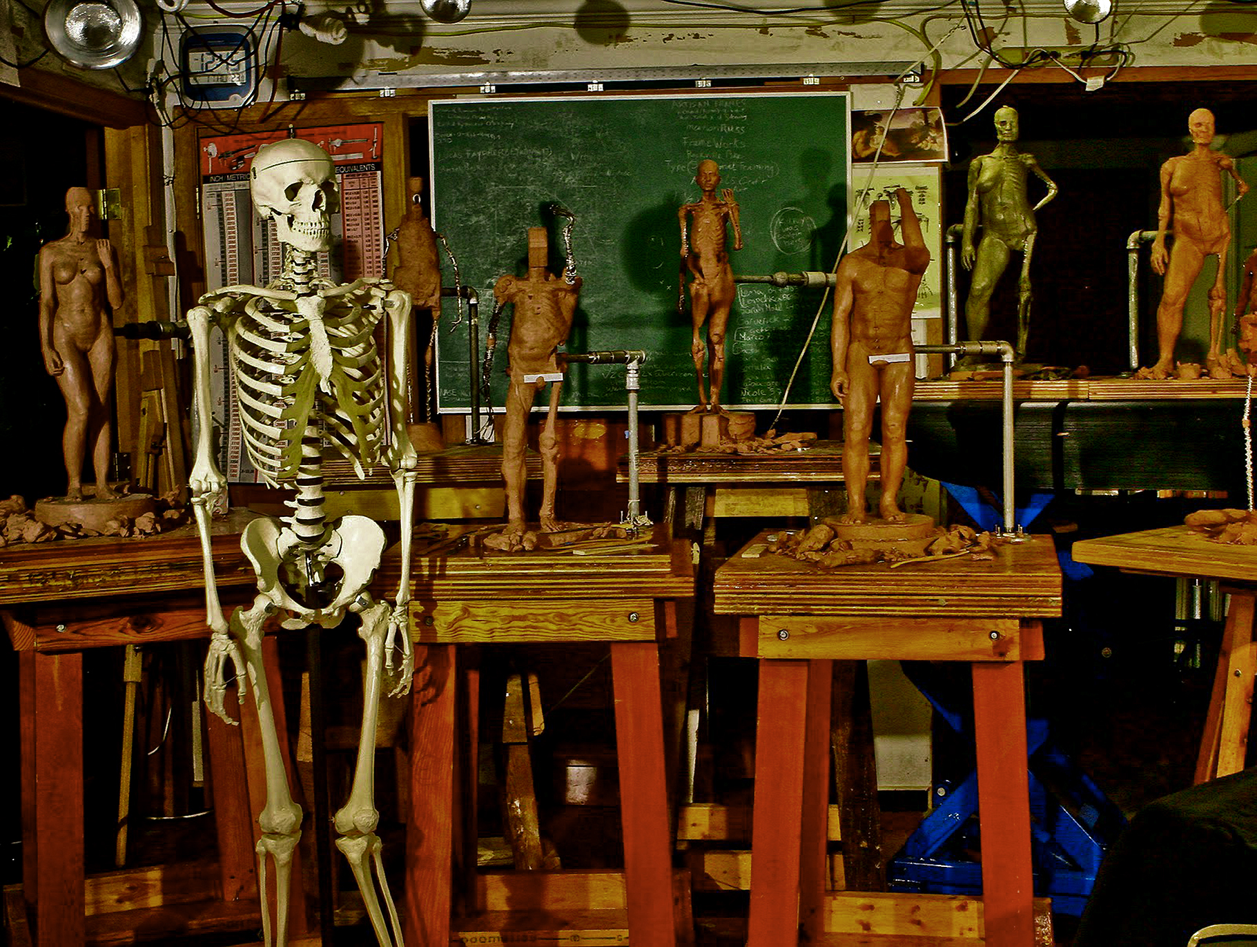 Sculptures and learning aids from the anatomical sculpture class, in the old Bethesda studio.