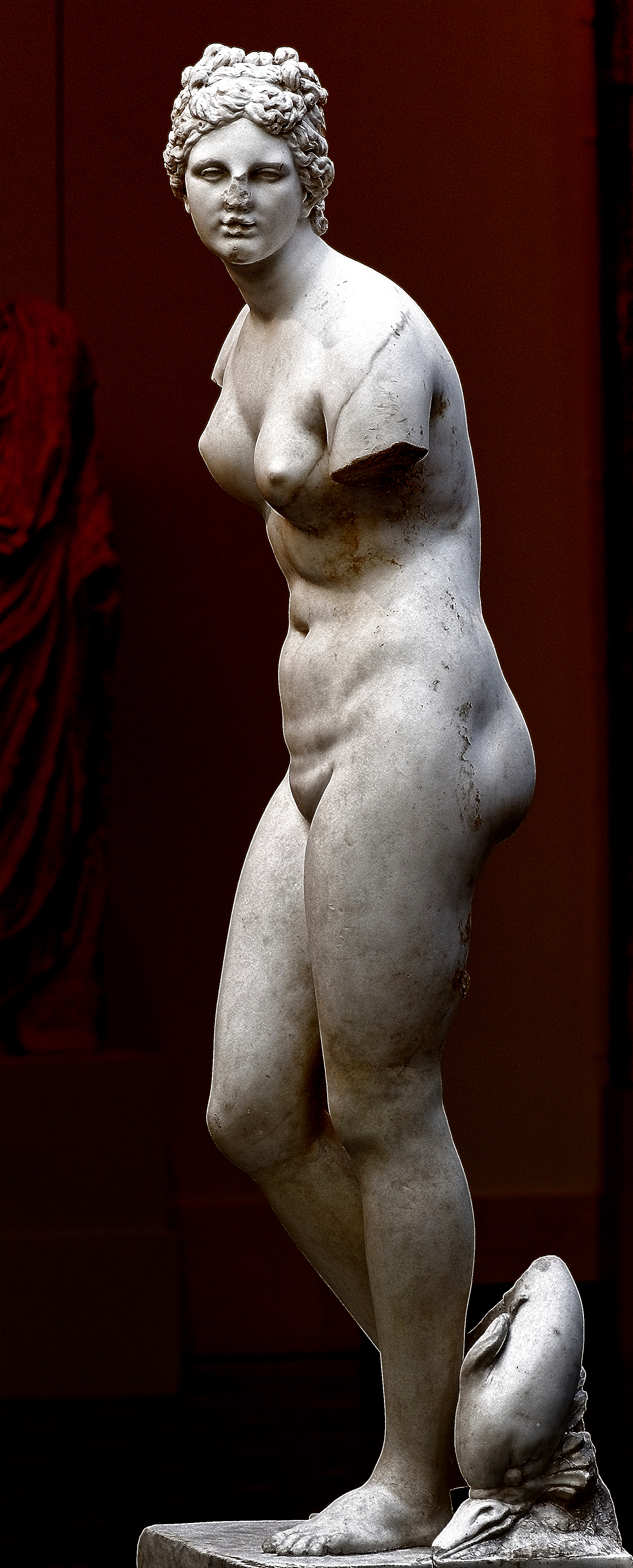 Aphrodite Medici type Metropolitan Museum, 1