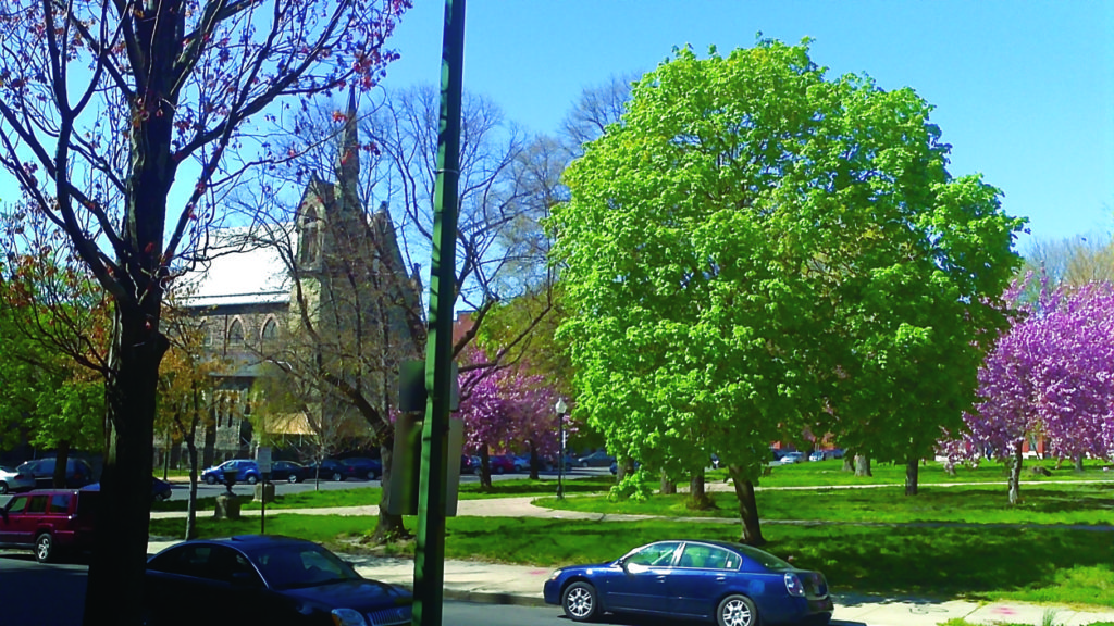 view from front step of town house to adjacent corner of Lafayette Square