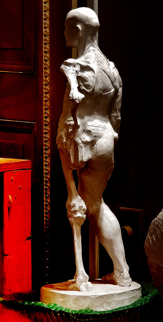 Anatomy Figure Demonstration Sculpture From Class, Plaster - unchased - raw, Anna Prussian Back Left 2 View