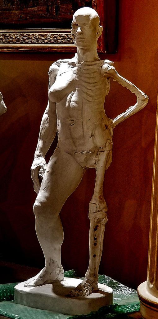 Anatomy Figure Demonstration Sculpture From Class, Plaster - unchased - raw, Anna Prussian Front Vie